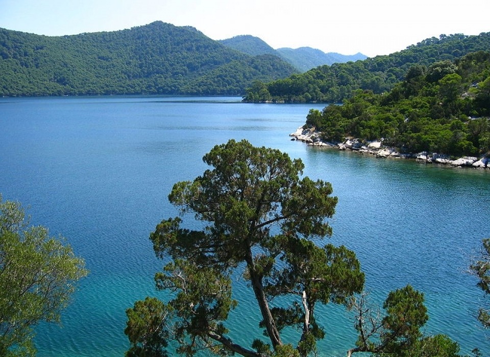 Island Mljet (Croatia)